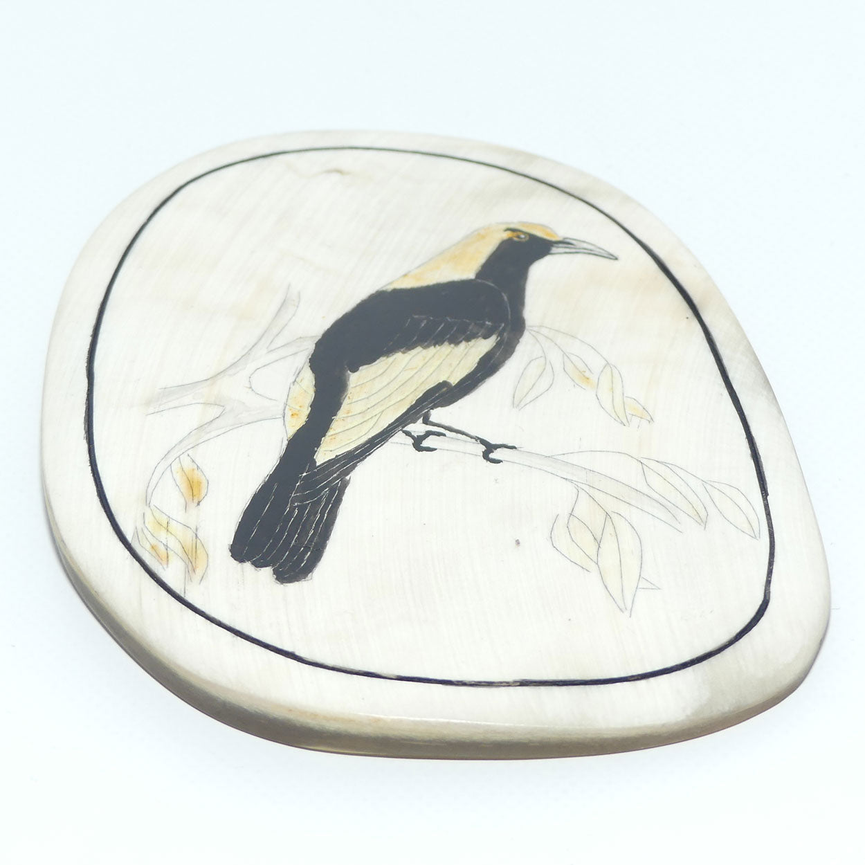 Enamelled Scrimshaw on Horn | Regent Bower Bird | Male