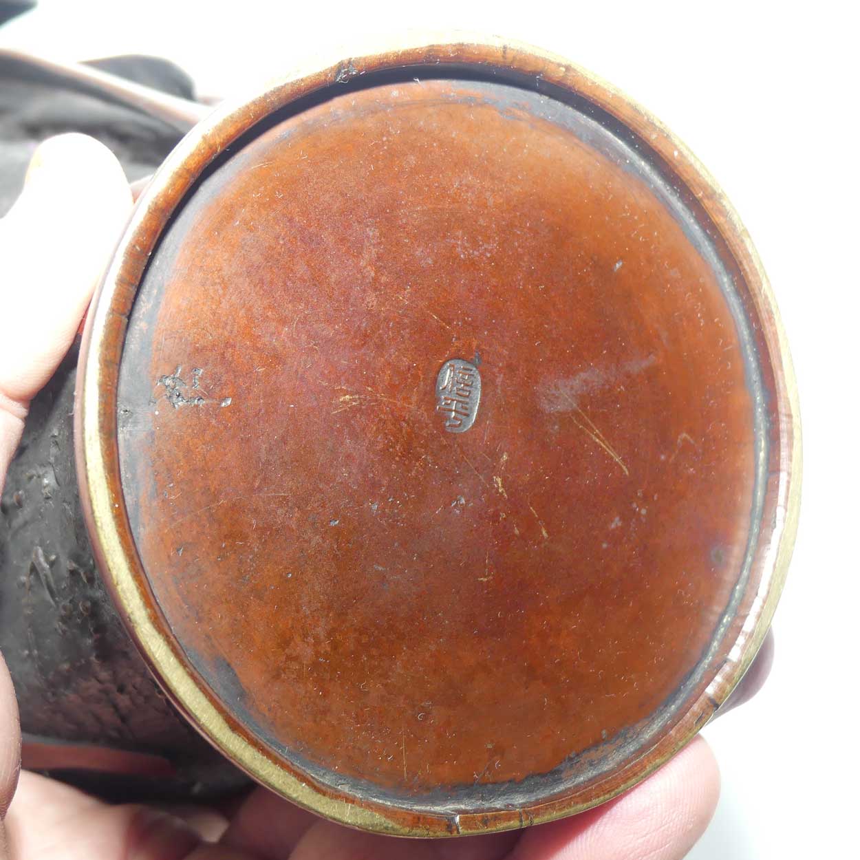 Pair of Meiji period Japanese Bronze vases with applied Iris decoration