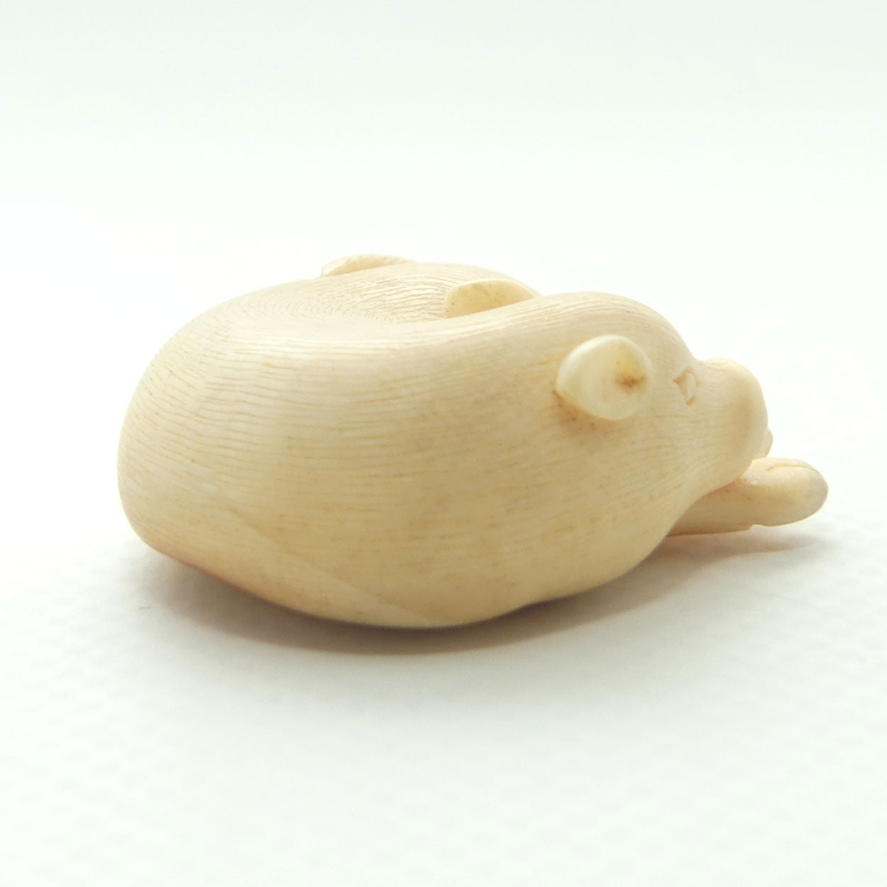 Japanese Carved Ivory miniature Okimono | Resting Calf