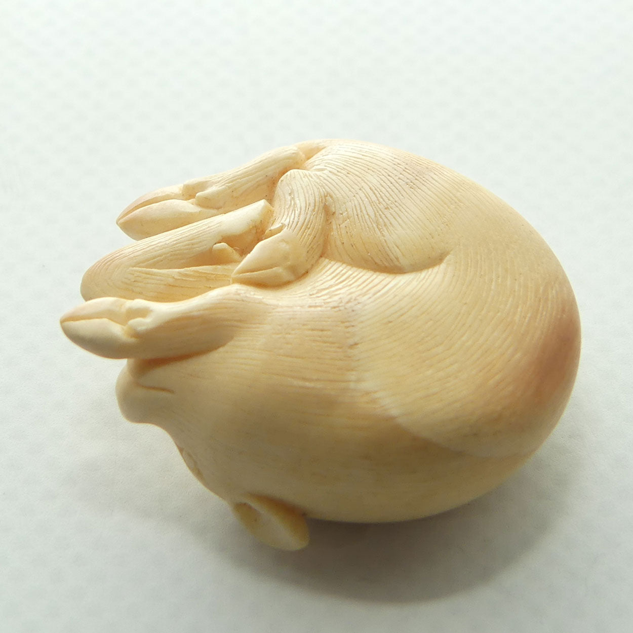 Japanese Carved Ivory miniature Okimono | Resting Calf