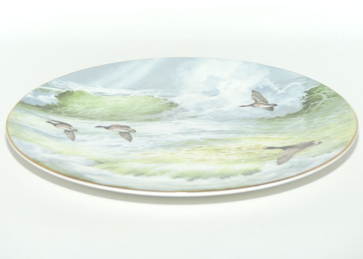 Royal Doulton picture plate by Elizabeth Gray | Waterside series | Canadian Geese