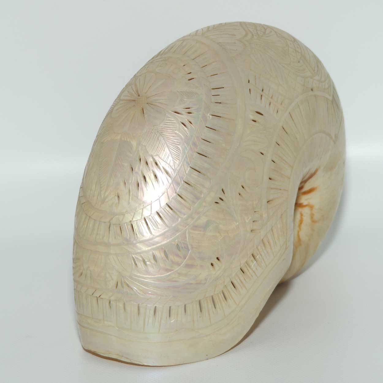 Superbly Carved and Reticulated Nautilus Shell | Foliate Carved | c.1910