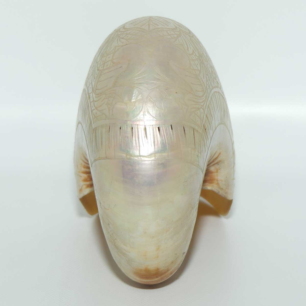 Superbly Carved and Reticulated Nautilus Shell | Foliate Carved | c.1910