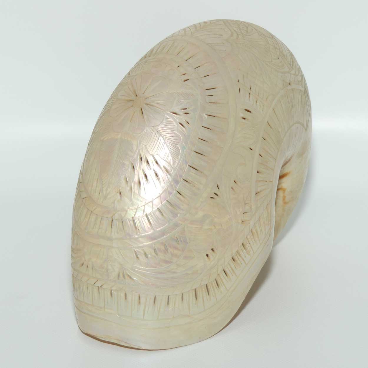 Superbly Carved and Reticulated Nautilus Shell | Foliate Carved | c.1910