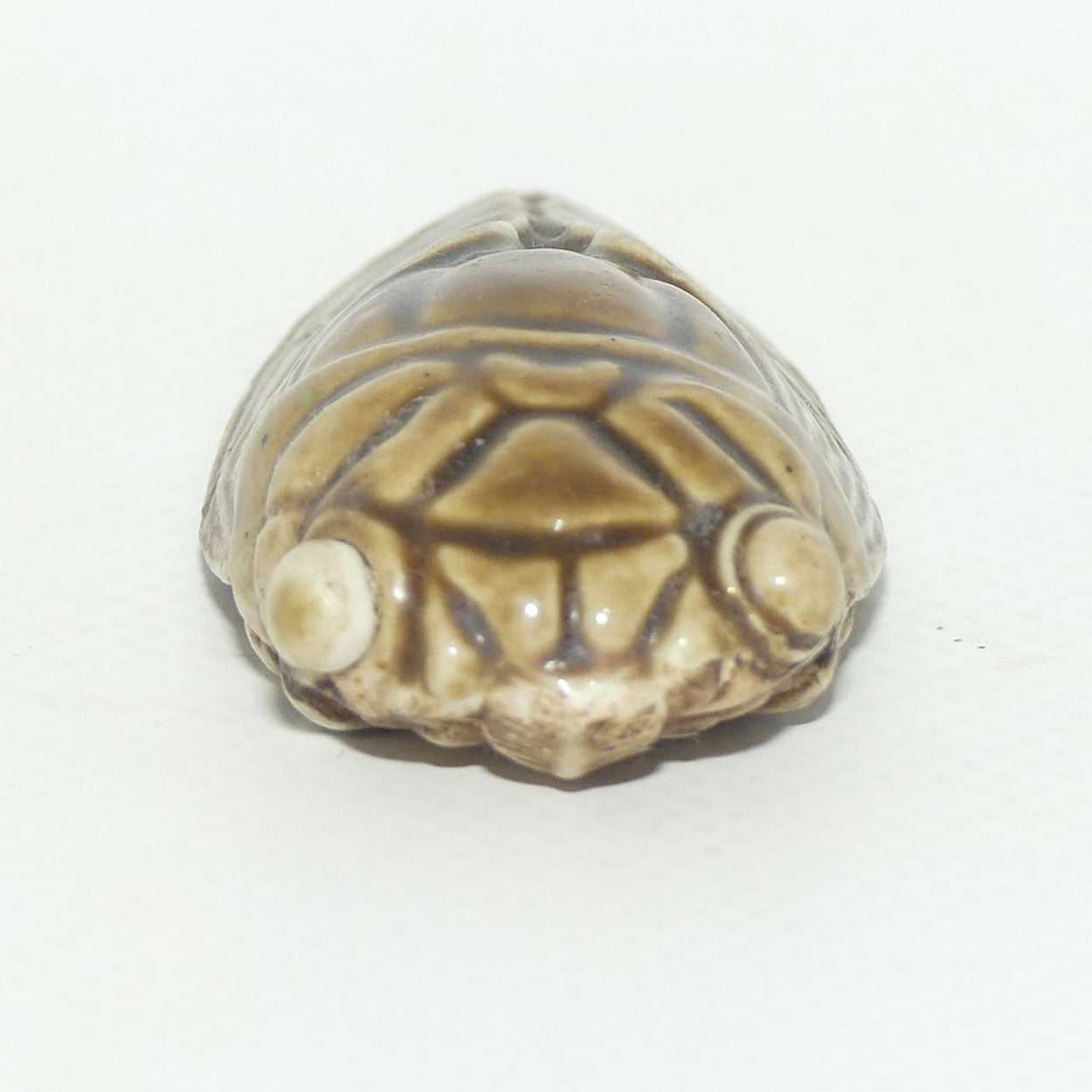 Figural Cicada Snuff Bottle | Entomology | Very Well Detailed