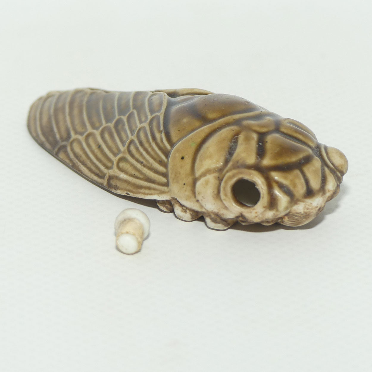 Figural Cicada Snuff Bottle | Entomology | Very Well Detailed