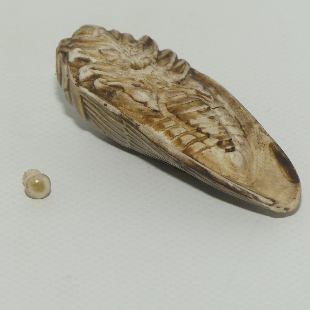 Figural Cicada Snuff Bottle | Entomology | Very Well Detailed