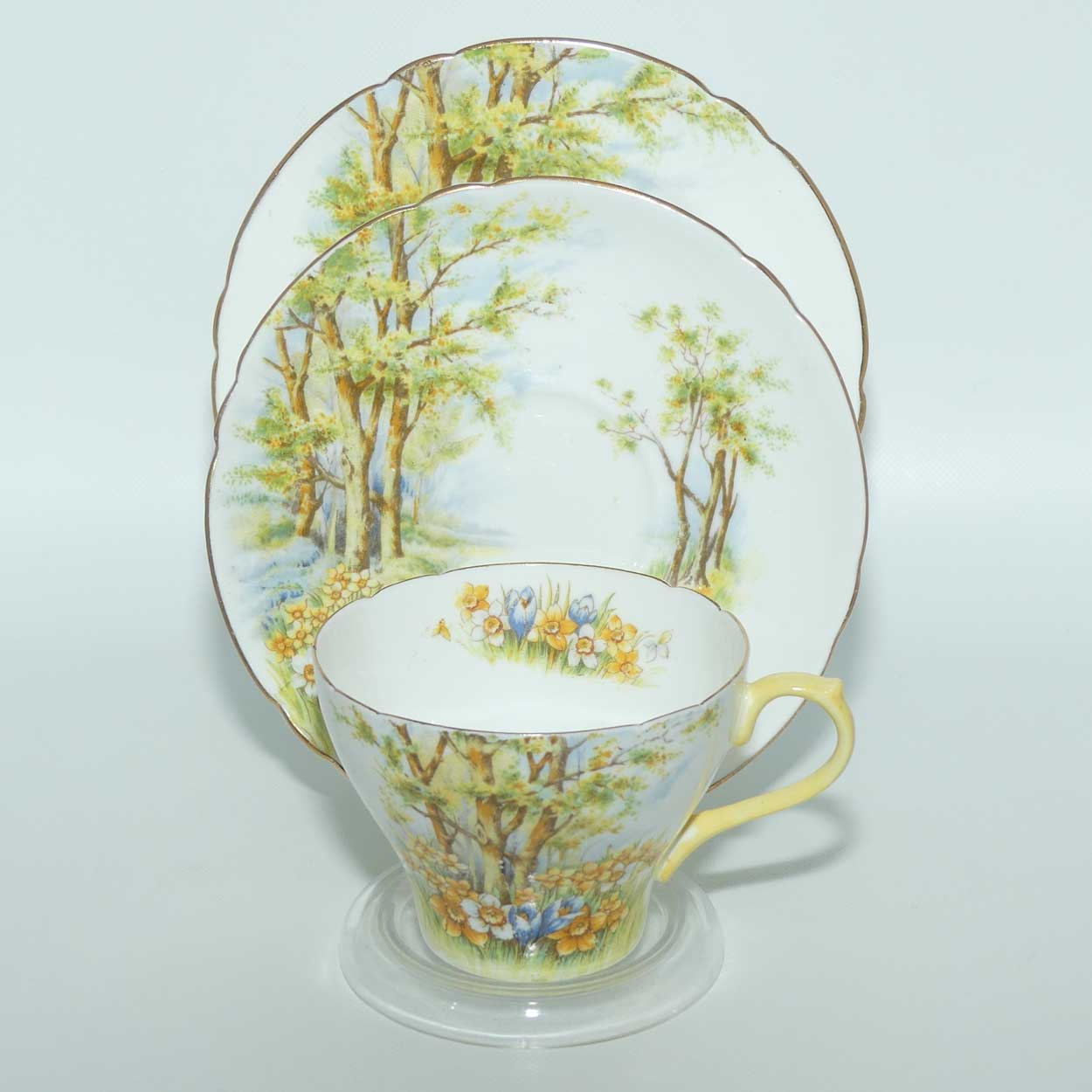 Shelley New Cambridge shape Daffodil Time tea trio | Gilt Trim | 13370