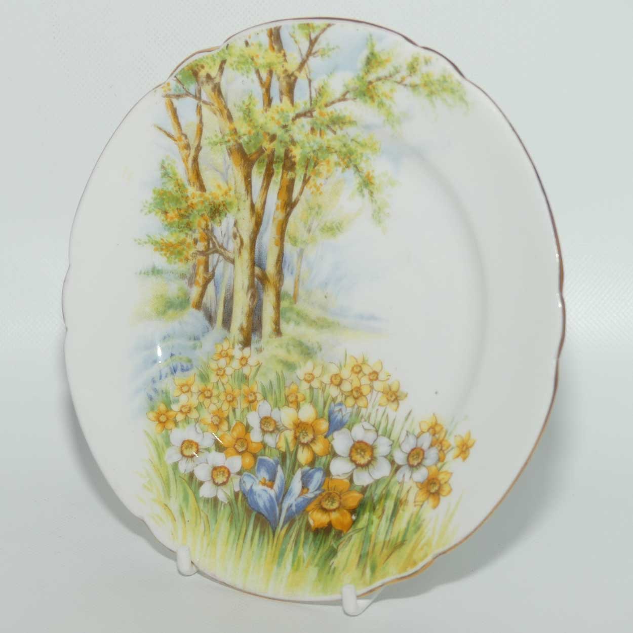 Shelley Daffodil Time tea plate | 15cm | Gilt Trim | 13370