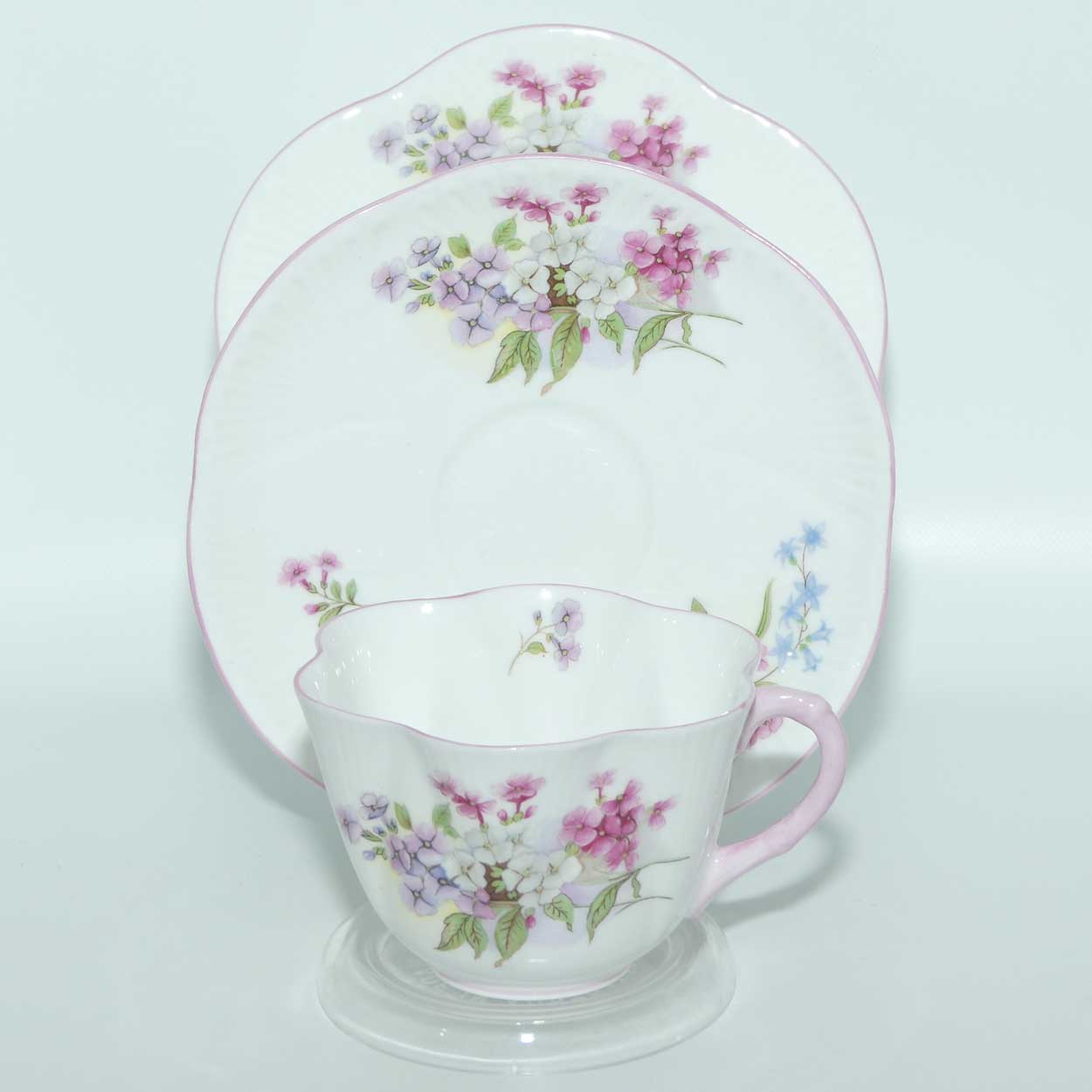 Shelley Dainty shape Stocks trio | Pattern 13428