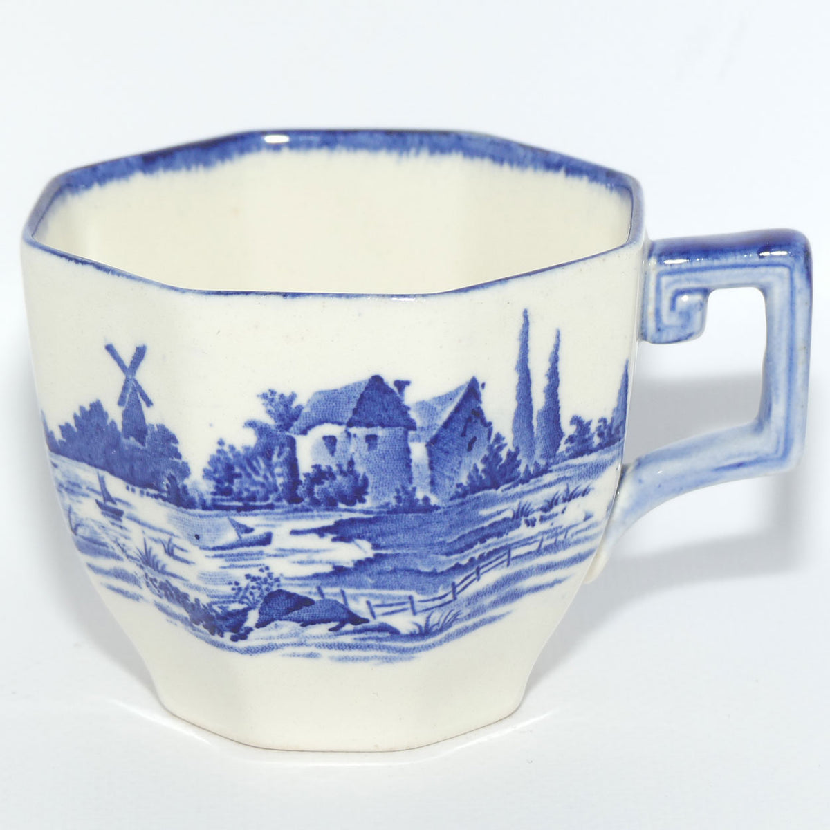 Royal Doulton Norfolk tea duo