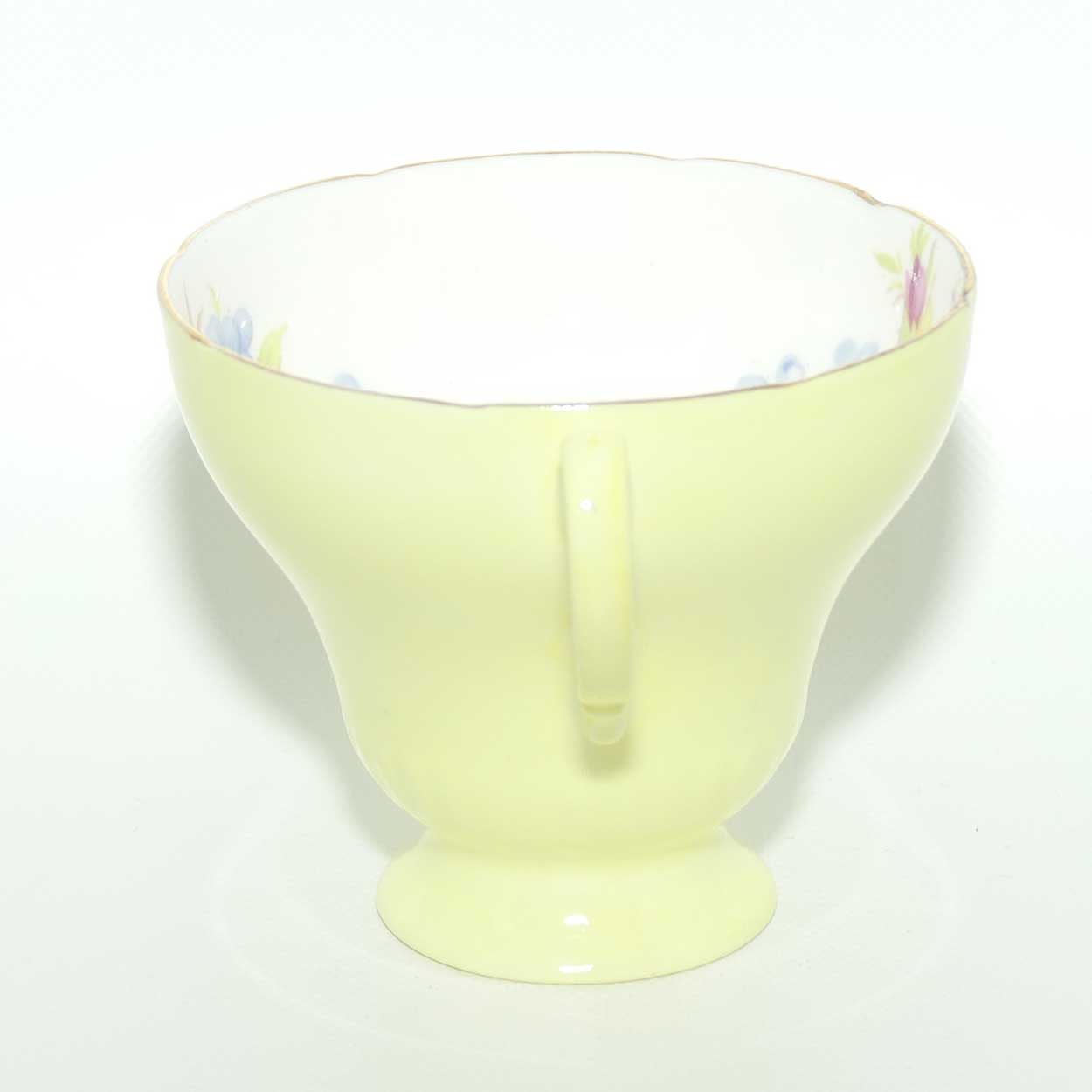 EB Foley Bone China Floral Spray trio | Buttercup Yellow wash | Footed cup