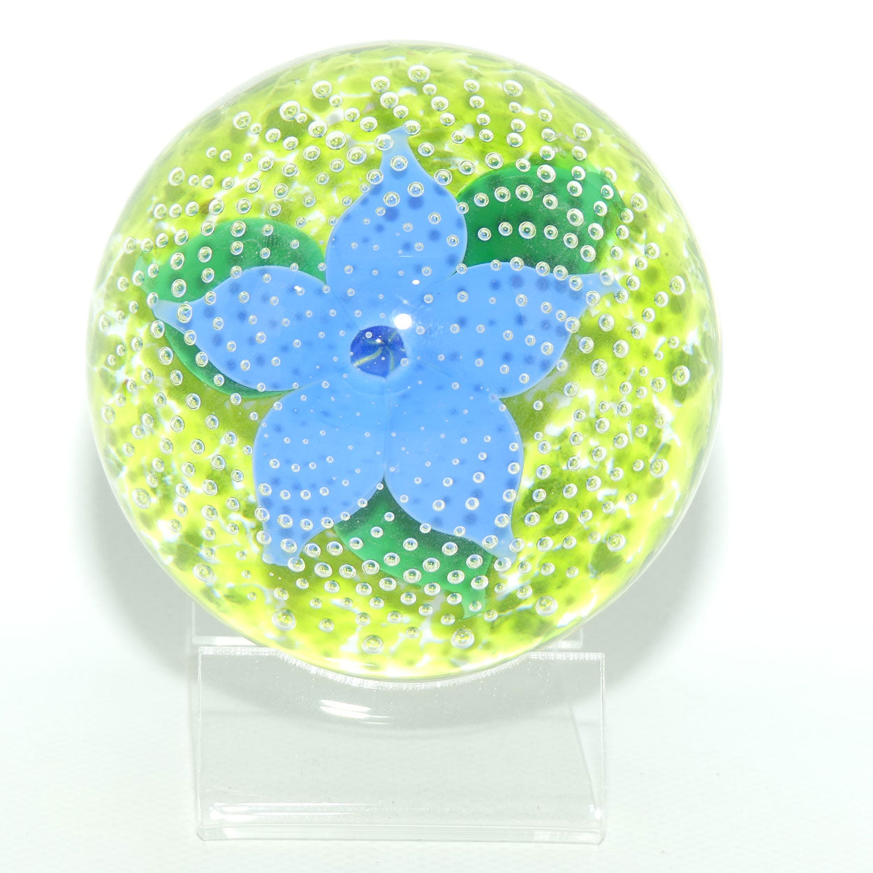 John Deacons Scotland Flower in the Rain Magnum paperweight | Pale Blue Flower | Lime ground