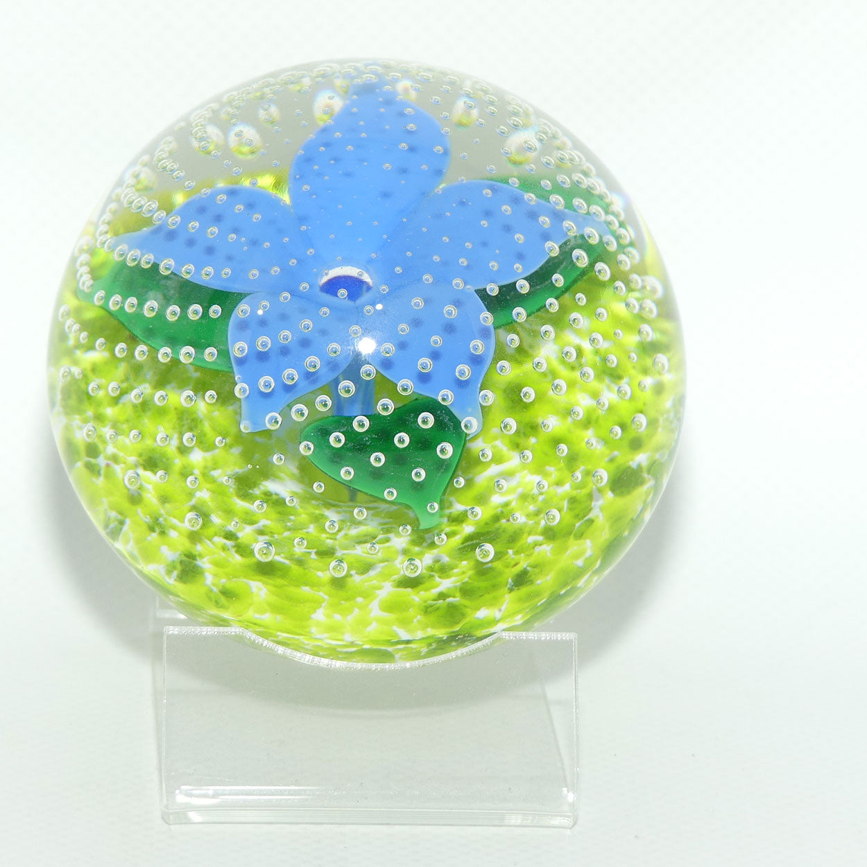 John Deacons Scotland Flower in the Rain Magnum paperweight | Pale Blue Flower | Lime ground