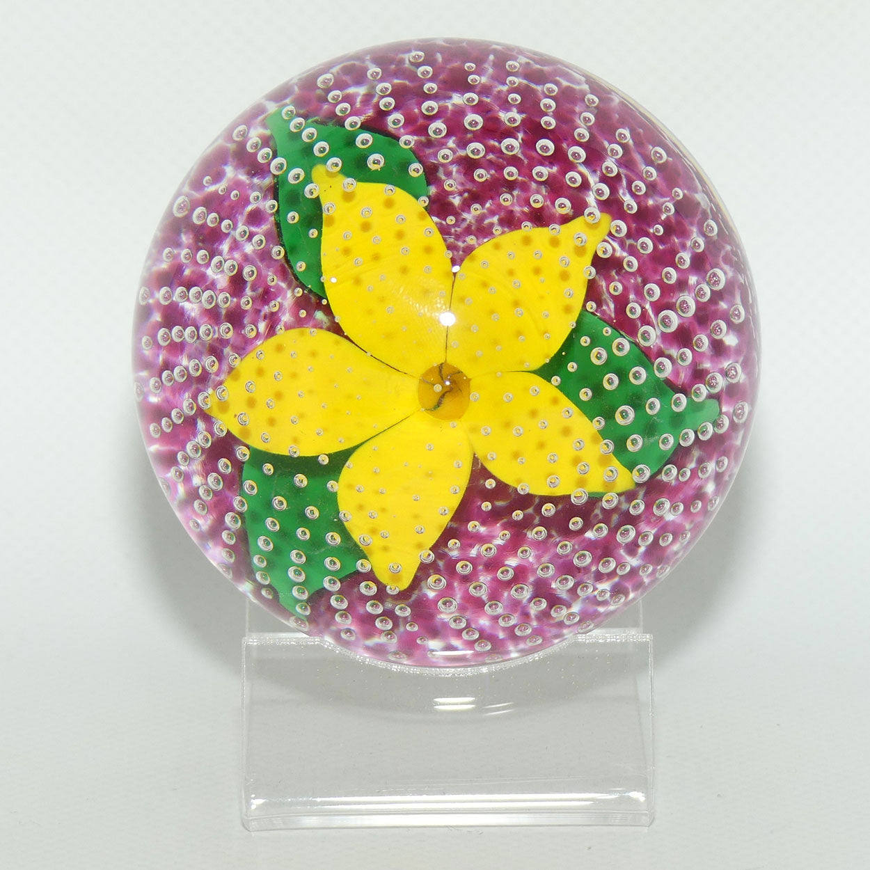John Deacons Scotland Flower in the Rain Magnum paperweight | Yellow Flower | Cerise ground