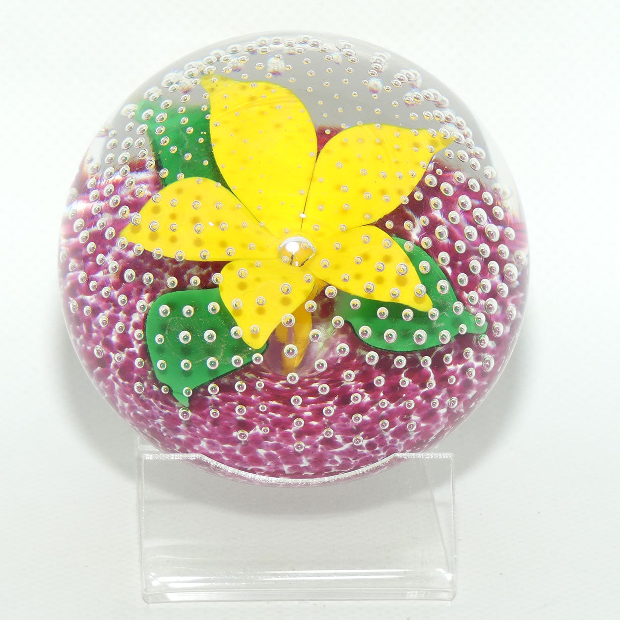 John Deacons Scotland Flower in the Rain Magnum paperweight | Yellow Flower | Cerise ground
