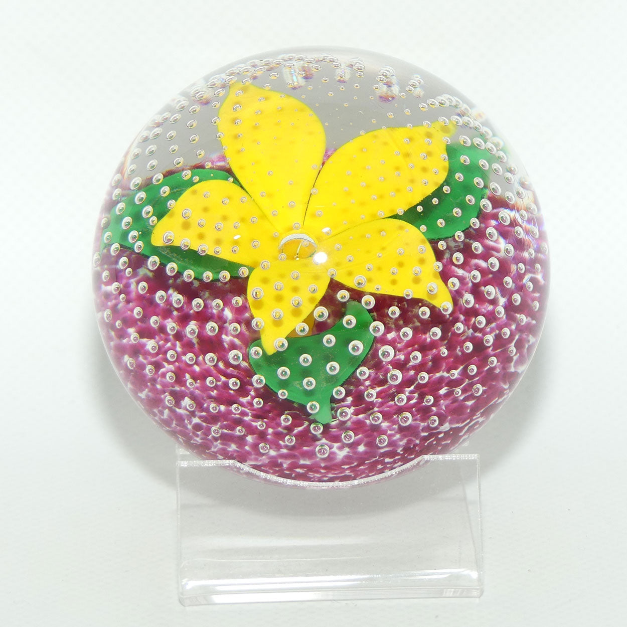 John Deacons Scotland Flower in the Rain Magnum paperweight | Yellow Flower | Cerise ground