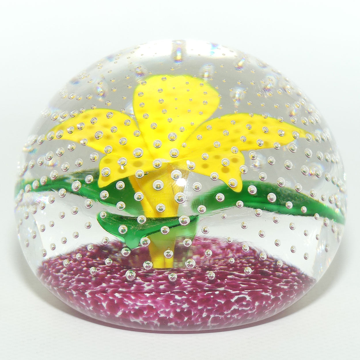 John Deacons Scotland Flower in the Rain Magnum paperweight | Yellow Flower | Cerise ground