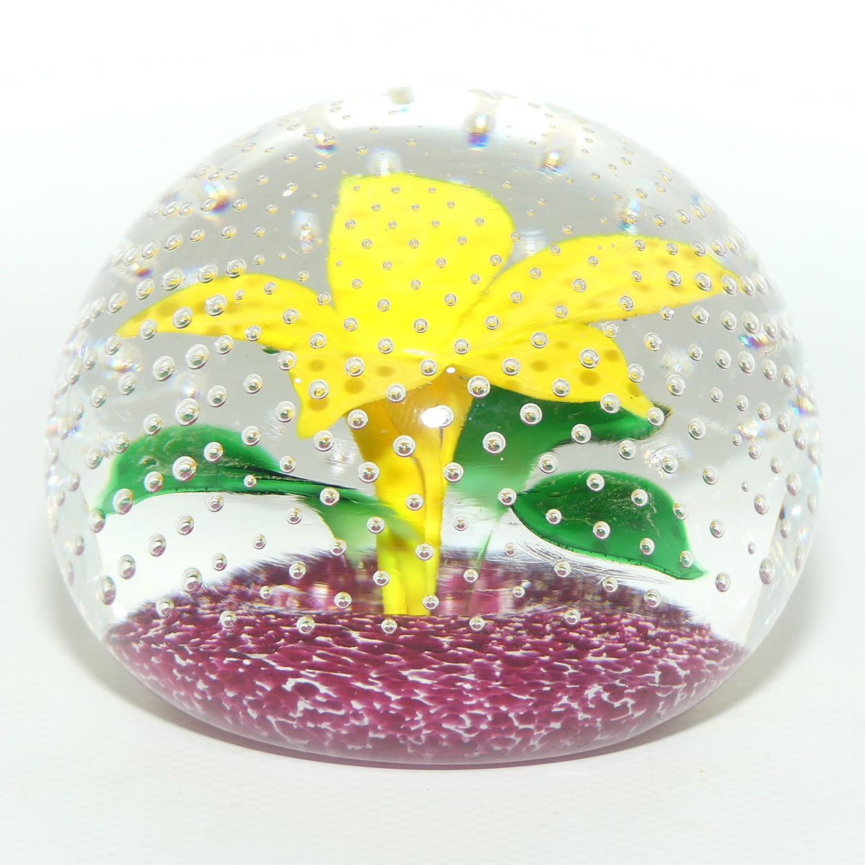 John Deacons Scotland Flower in the Rain Magnum paperweight | Yellow Flower | Cerise ground