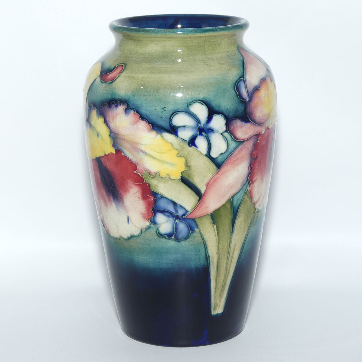 Walter Moorcroft Orchid on Light Green transition to Blue Ground vase | Shape 18/8