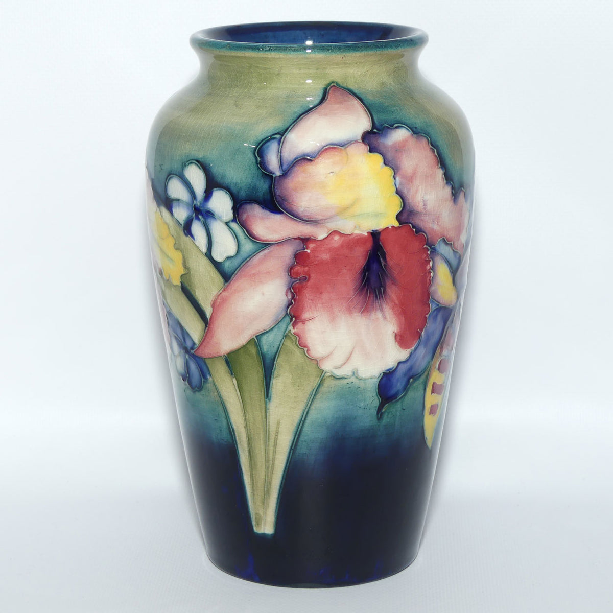 Walter Moorcroft Orchid on Light Green transition to Blue Ground vase | Shape 18/8