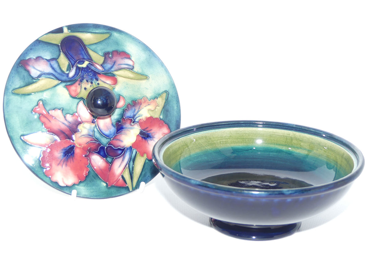 Walter Moorcroft Orchid on Light Green transition to Blue Ground powder bowl