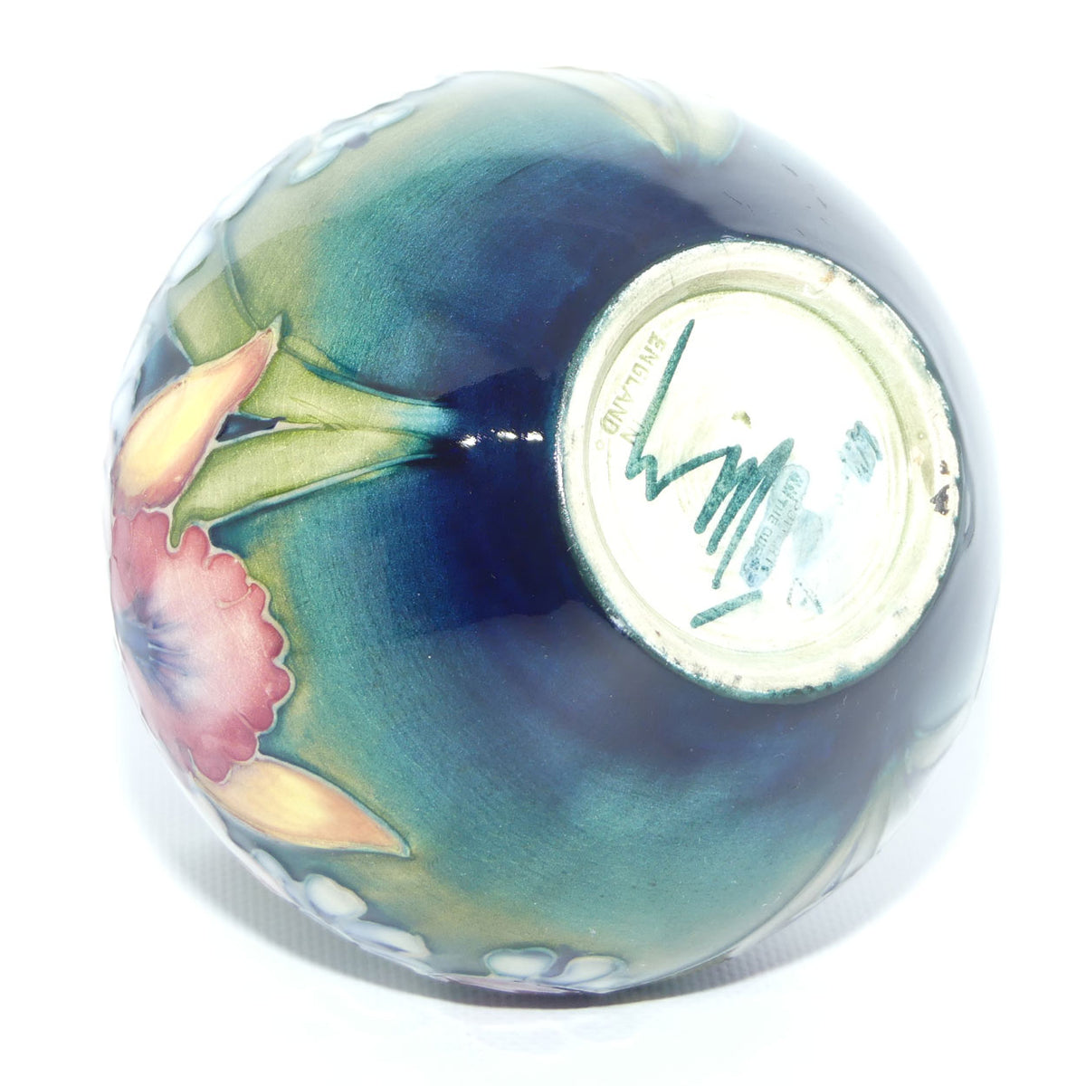 Walter Moorcroft Orchid on Light Green transition to Blue Ground vase | Squat Ovoid shape