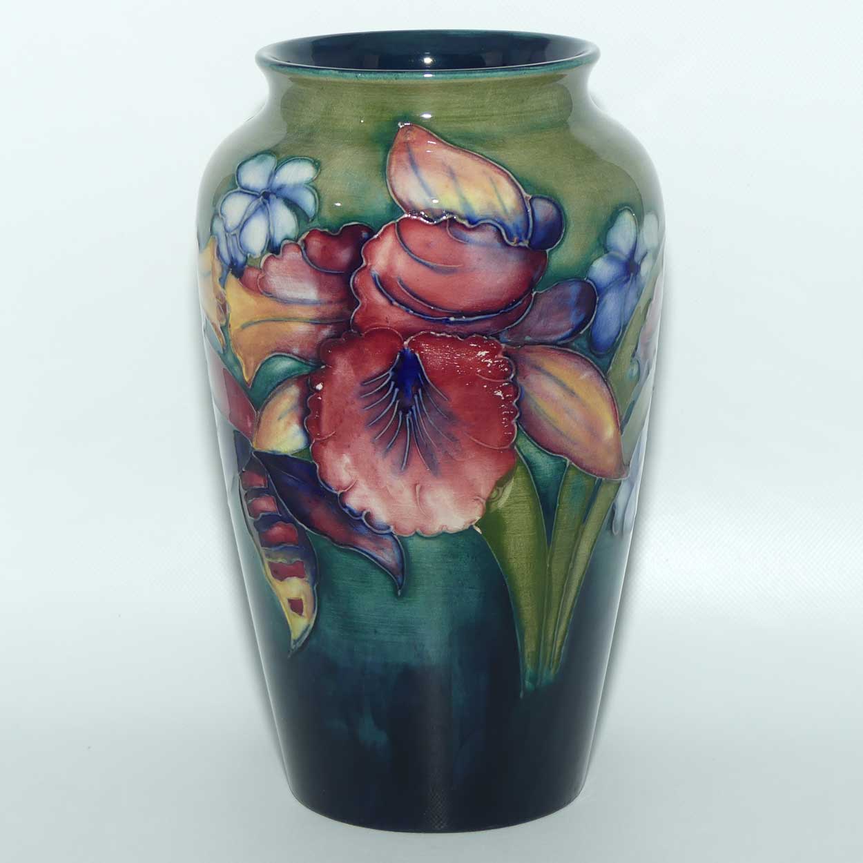 Walter Moorcroft Orchid on Light Green transition to Blue Ground vase | 21cm
