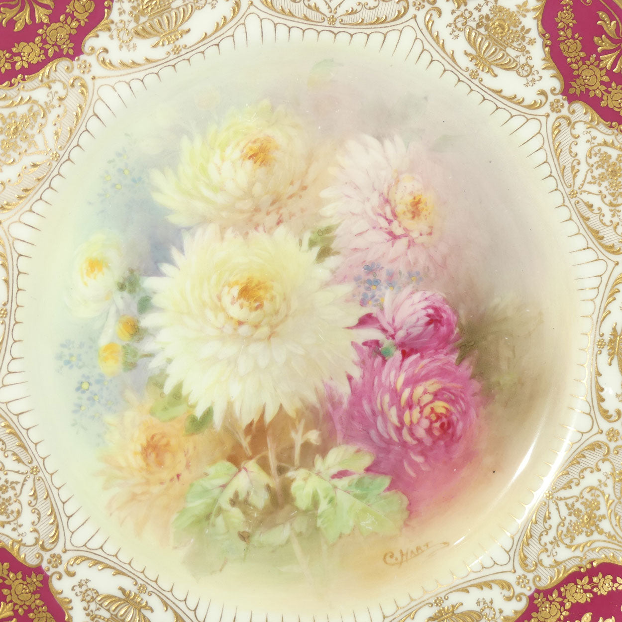 Royal Doulton plate | Hand painted by Charles Hart | Chrysanthemum| Rouge border and superb gilding