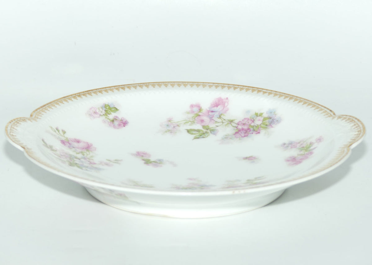 Haviland & Co Limoges France 9 piece sweets set