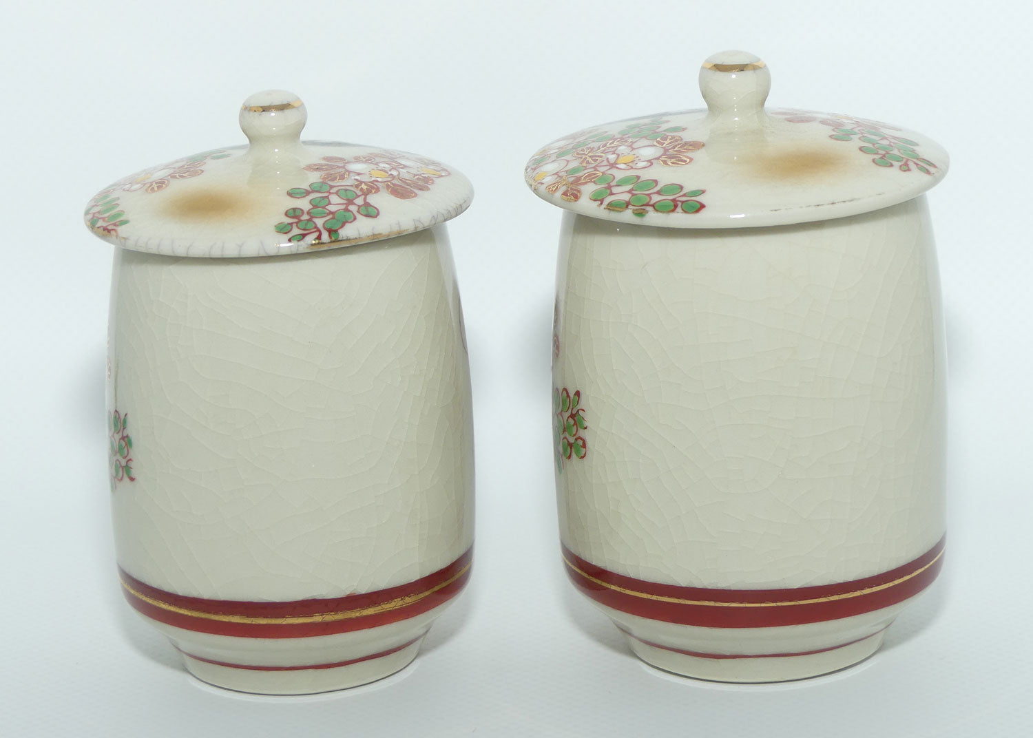 Pair of Oriental Waterwheel and Cherry Blossom decorated pots