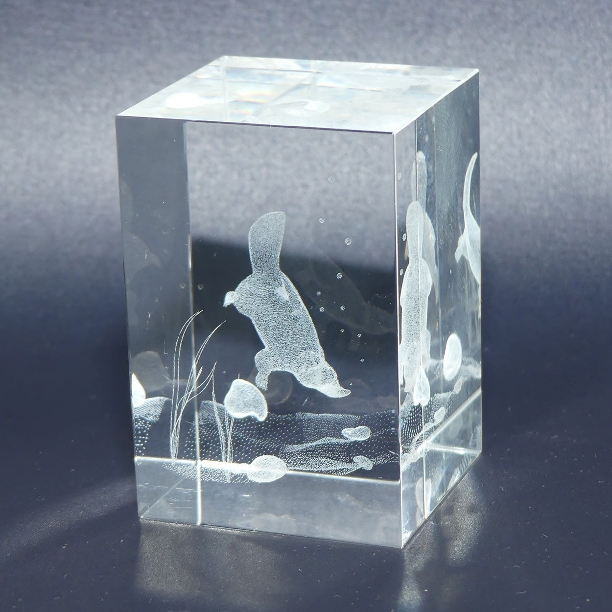 Collection of 3 Australian Motif Laser Cut Glass paperweights