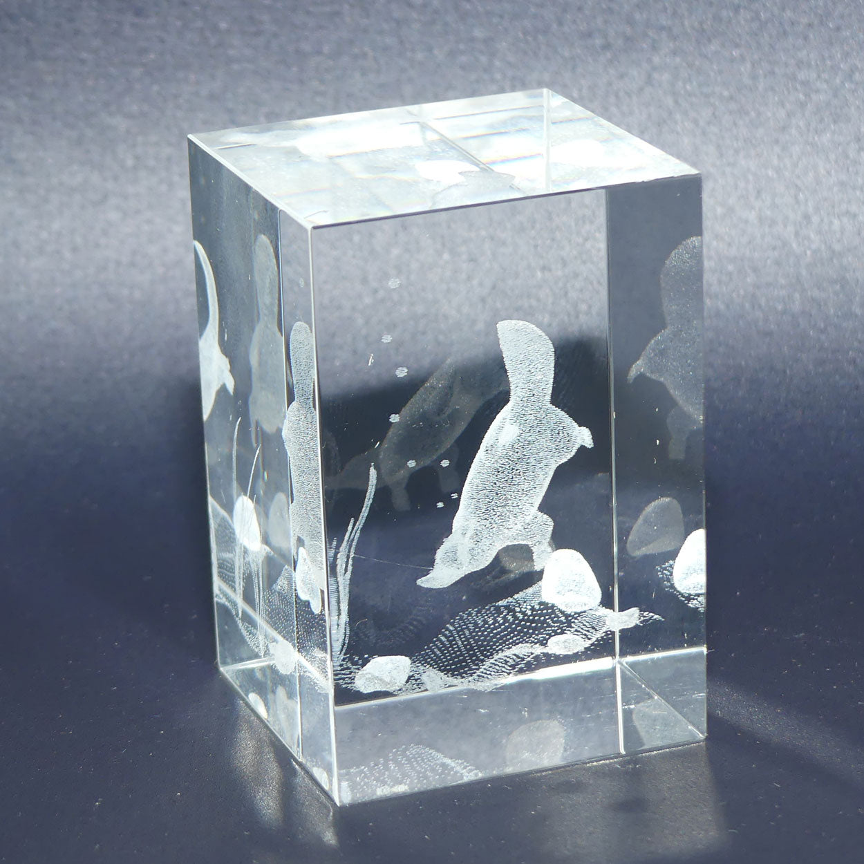 Collection of 3 Australian Motif Laser Cut Glass paperweights