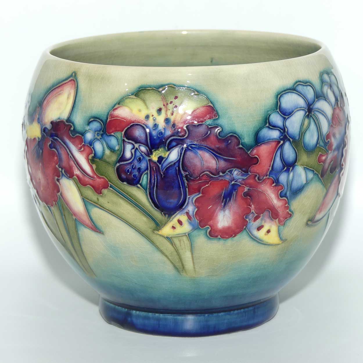 Walter Moorcroft Orchid on Light Green transition to Blue Ground Fern Pot