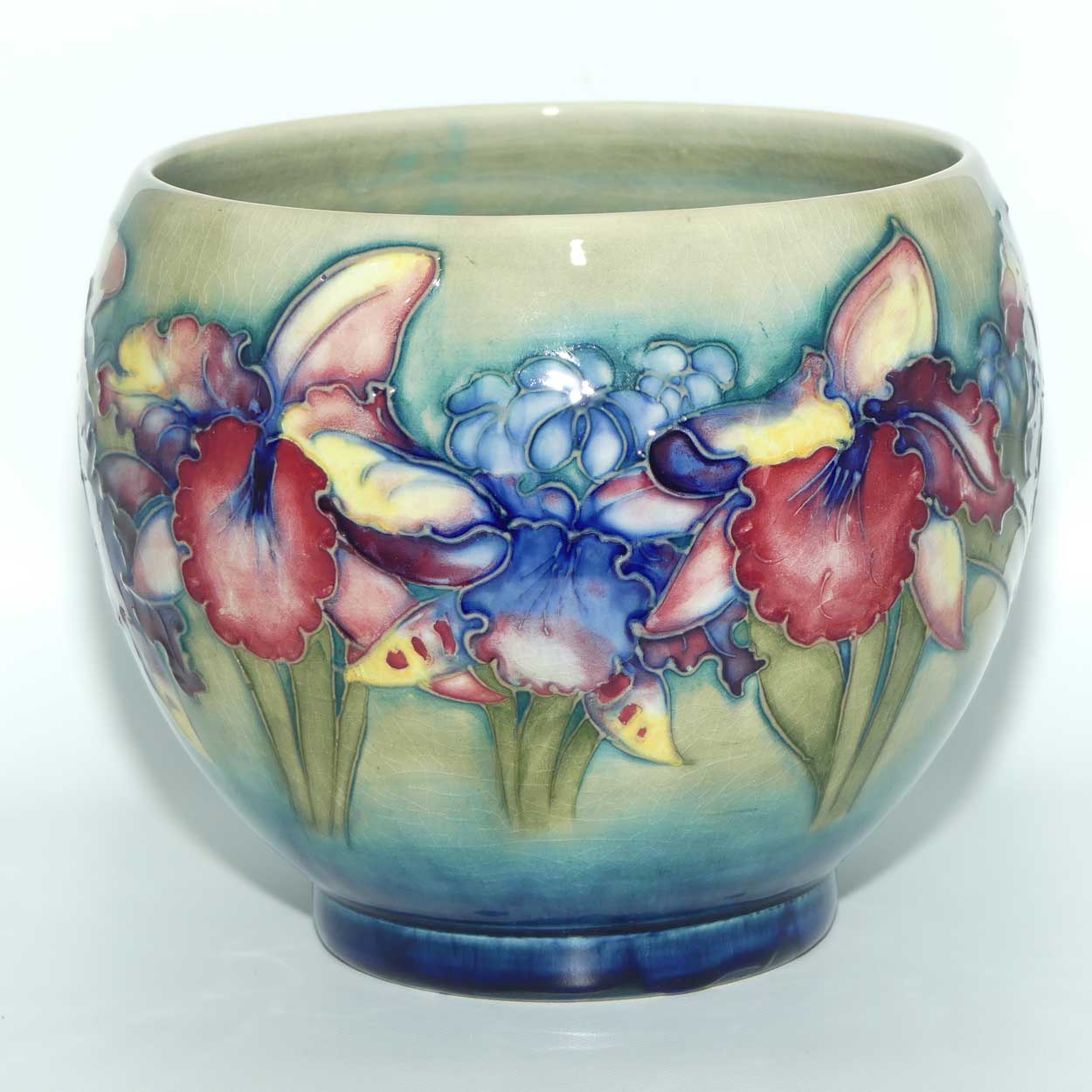 Walter Moorcroft Orchid on Light Green transition to Blue Ground Fern Pot