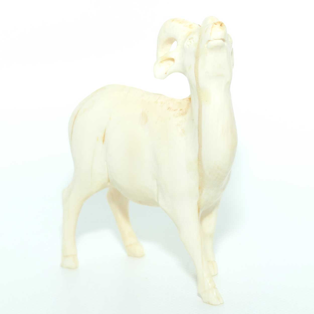 Carved Ivory Figure of a Ram