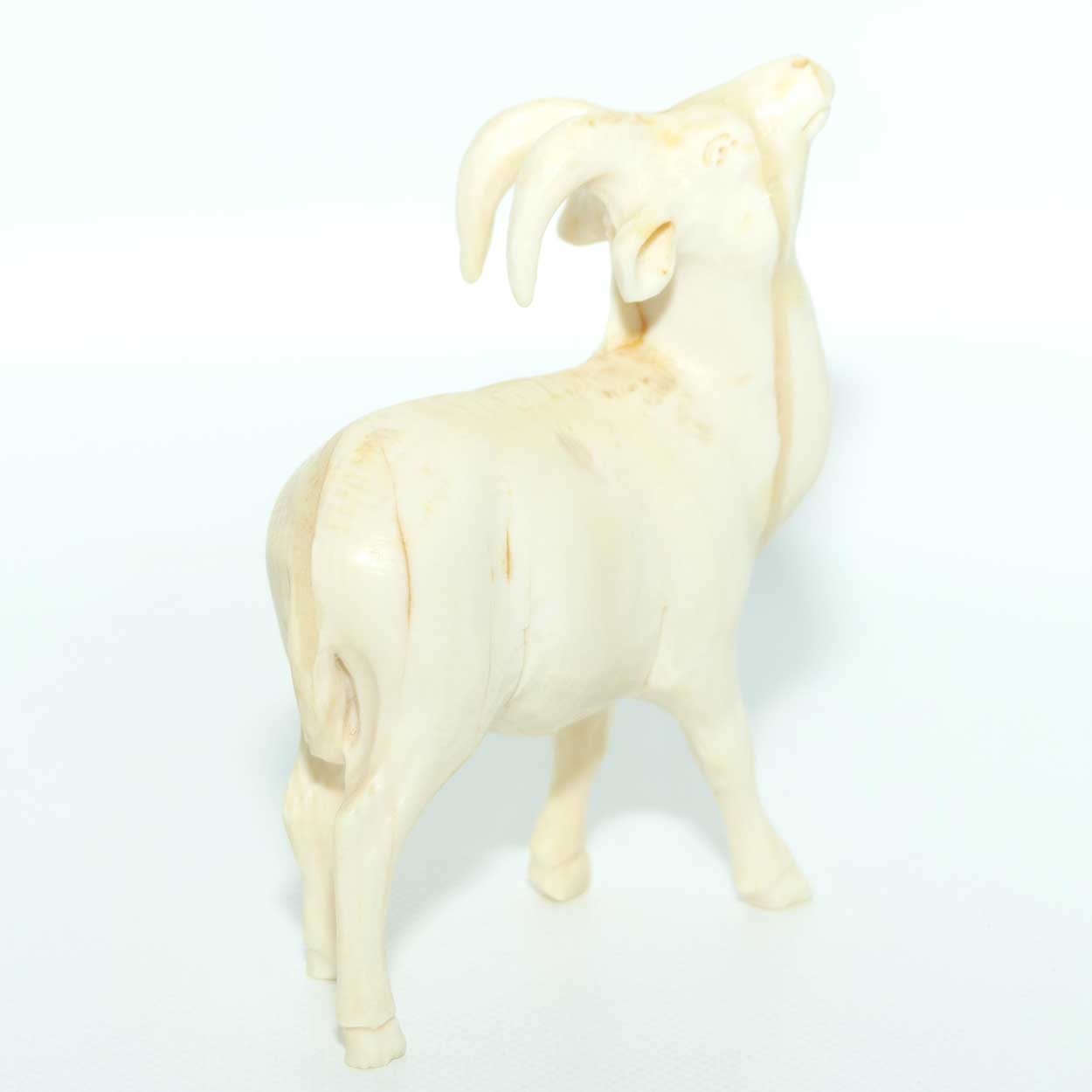 Carved Ivory Figure of a Ram