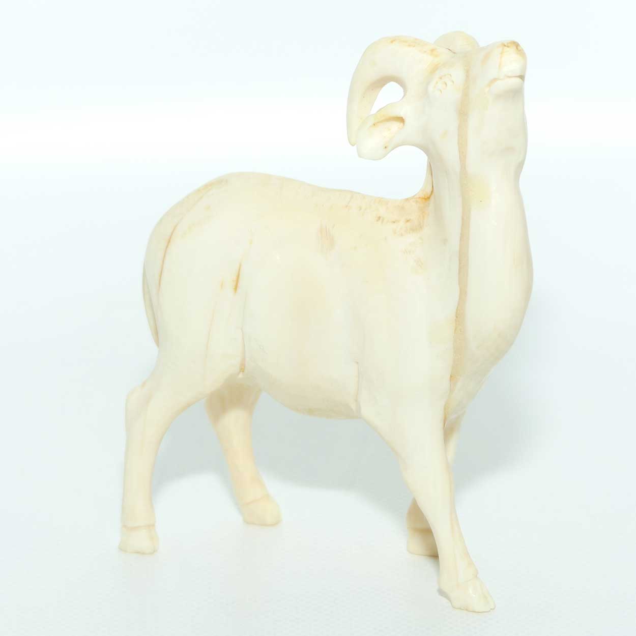 Carved Ivory Figure of a Ram