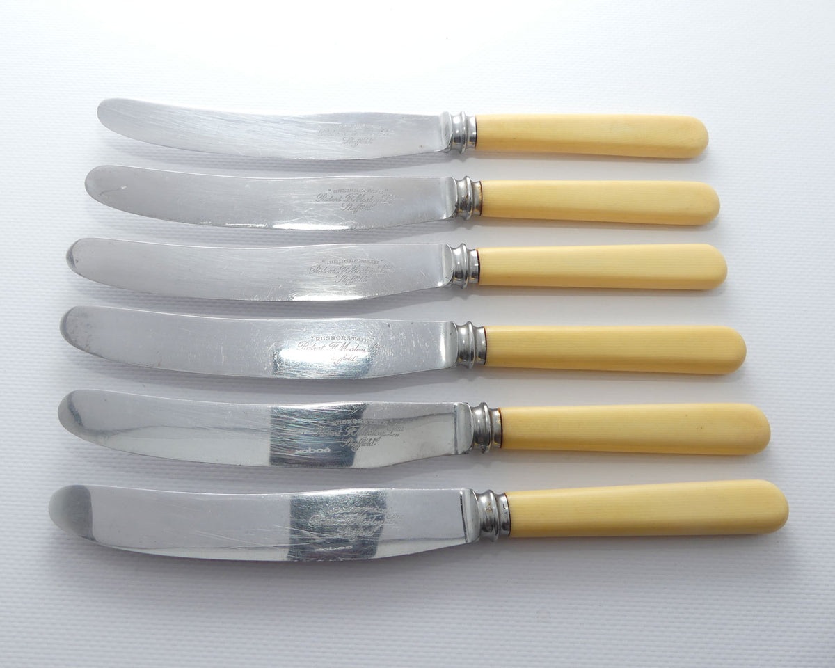 Set of 6 Robert Mosely Sheffield Rusnorstain | Faux Bone Handle Knives | 23.5cm