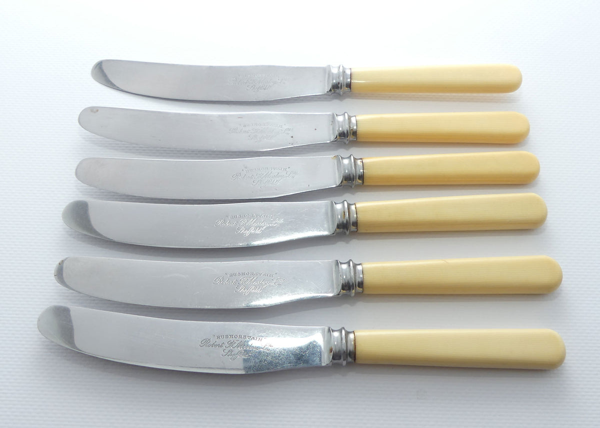 Set of 6 Robert Mosely Sheffield Rusnorstain | Faux Bone Handle Knives | Salad | 21cm