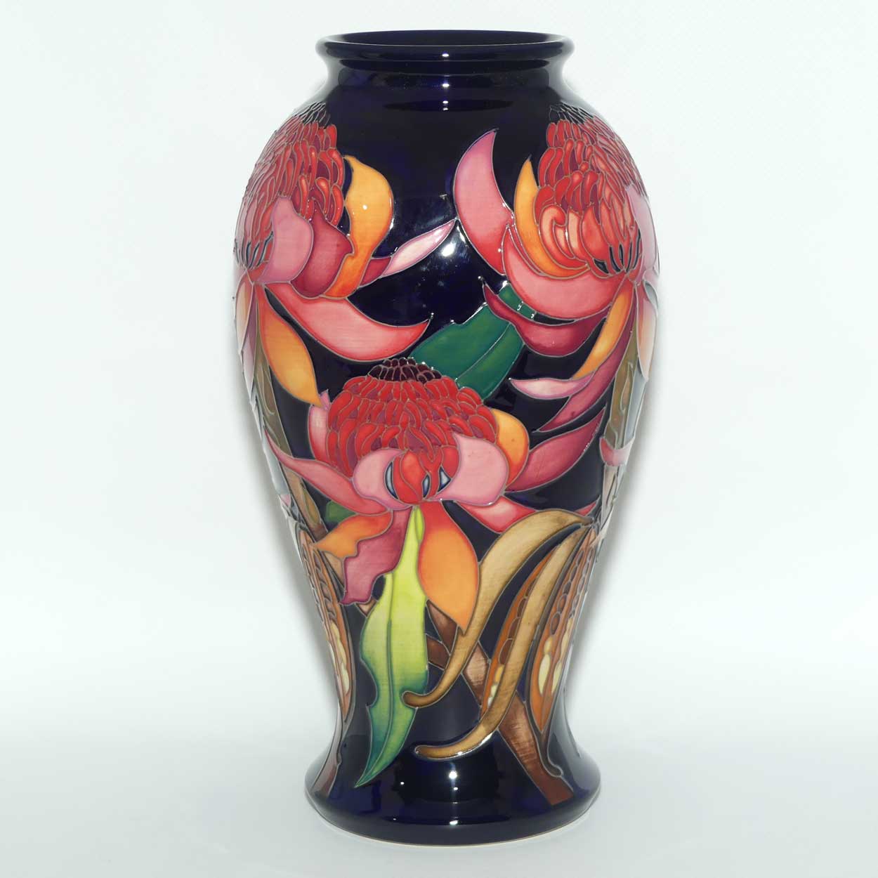 Moorcroft New World Waratah 46/10 vase | LE 73/150