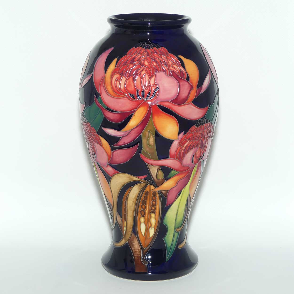 Moorcroft New World Waratah 46/10 vase | LE 73/150