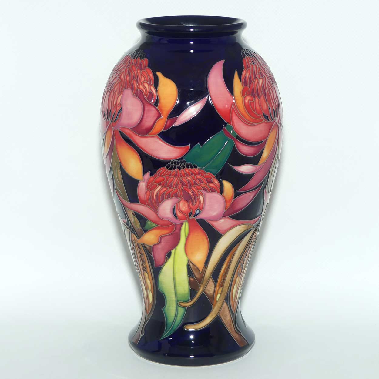 Moorcroft New World Waratah 46/10 vase | LE 73/150