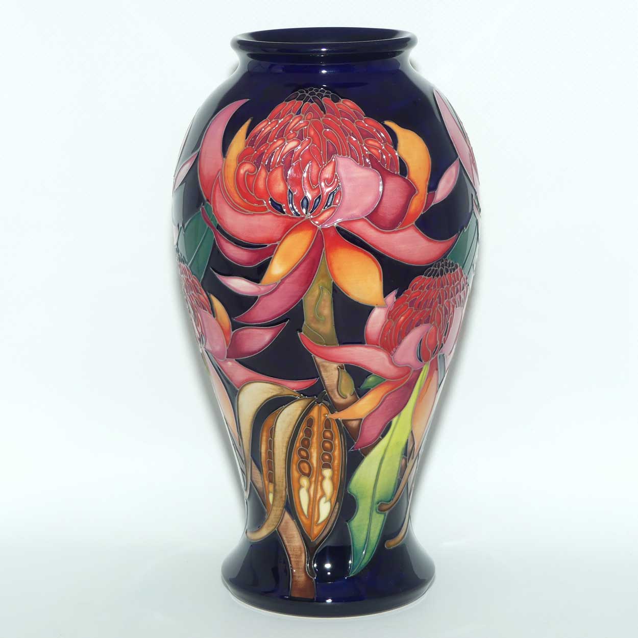 Moorcroft New World Waratah 46/10 vase | LE 73/150