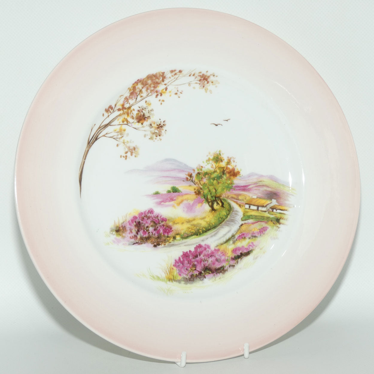 Shelley England Old Ireland plate | Pink border | Round