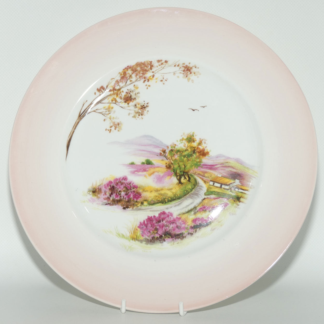 Shelley England Old Ireland plate | Pink border | Round