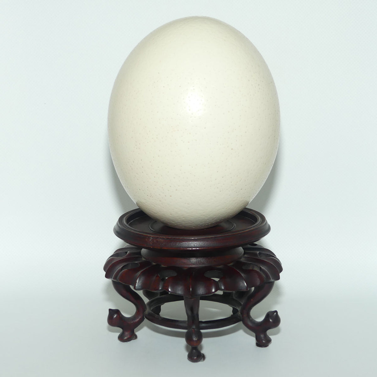Antique Blown Ostrich Egg on fine Quality Rosewood stand