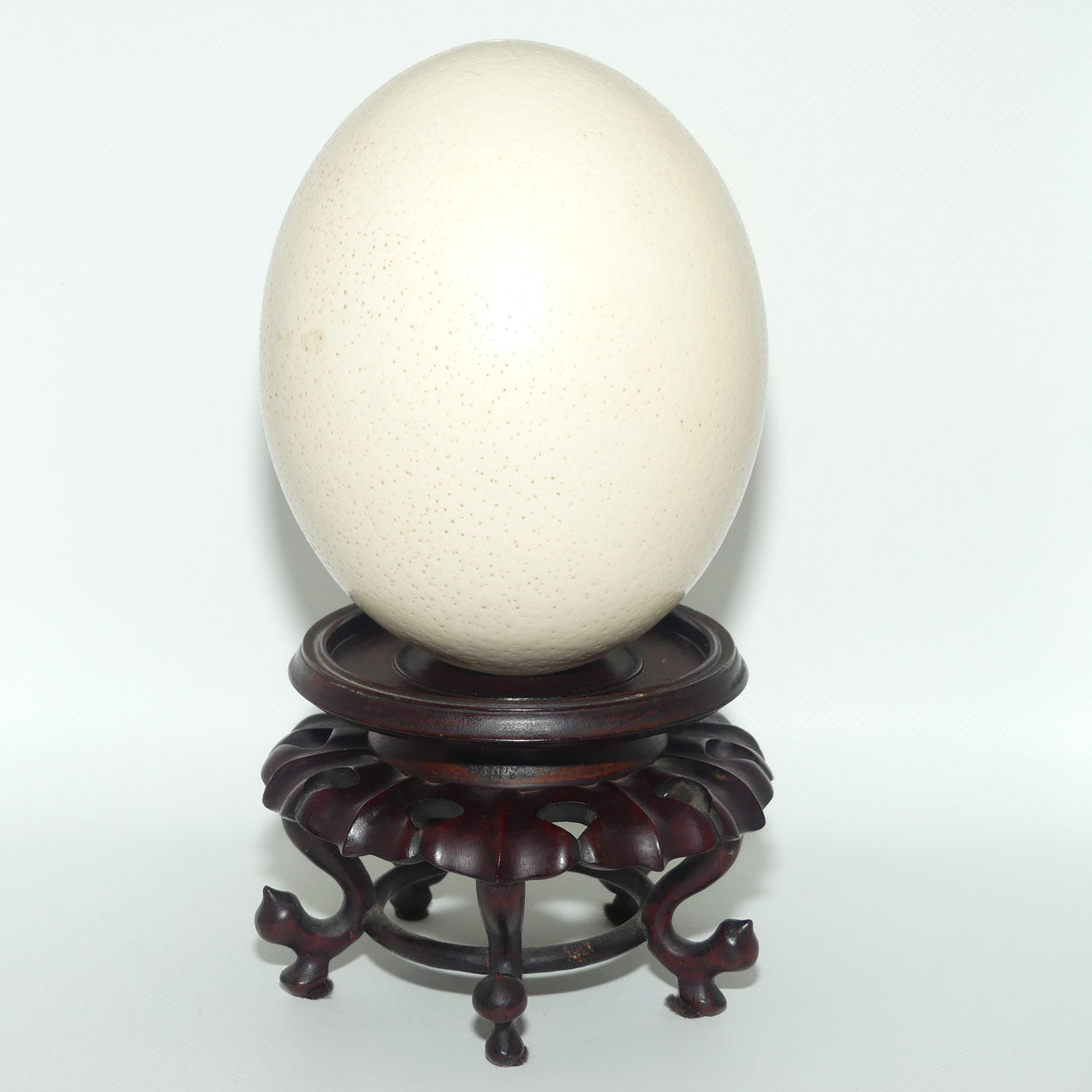 Antique Blown Ostrich Egg on fine Quality Rosewood stand