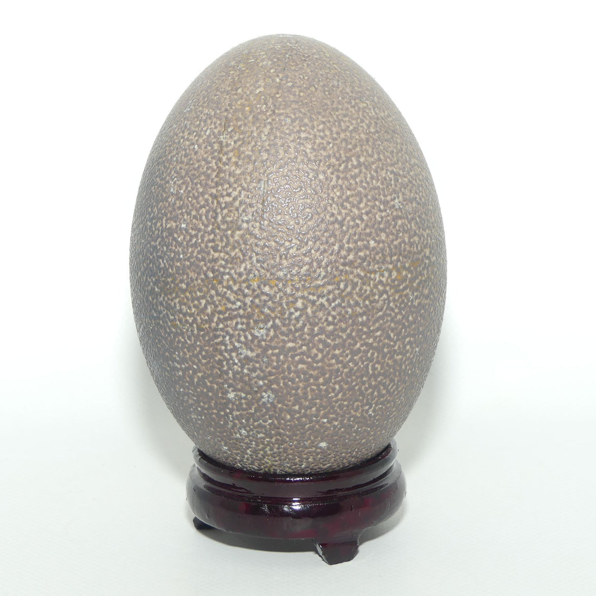 Vintage Blown Emu Egg on small Rosewood stand