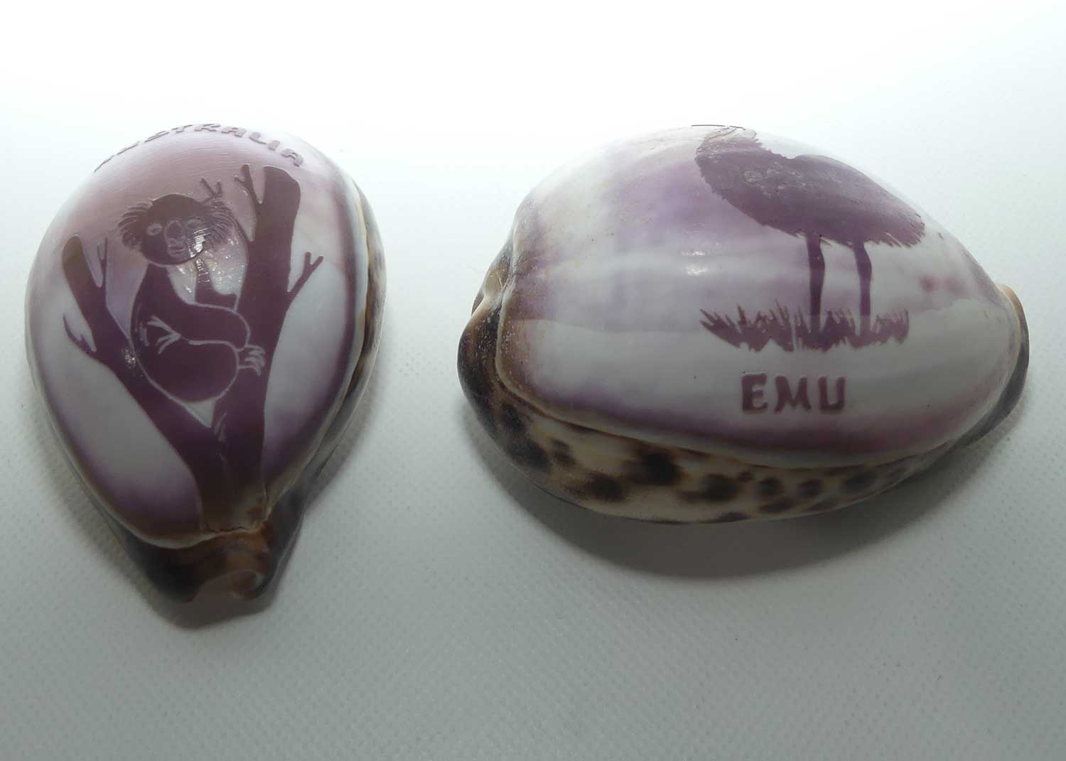 Pair of Australian motif carved Shells | Koala and Emu
